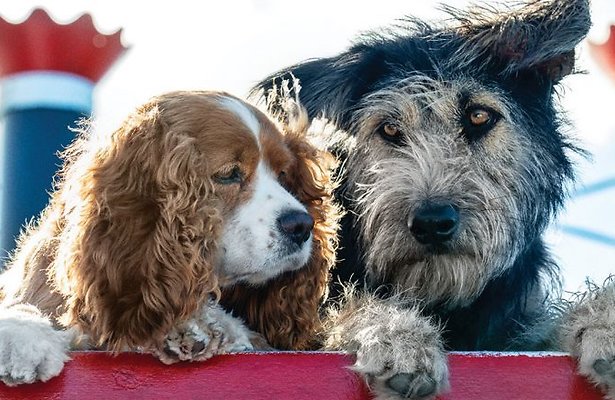 Disney+-tip: Lady & the Tramp 